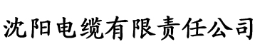 午夜四虎影院电缆厂logo